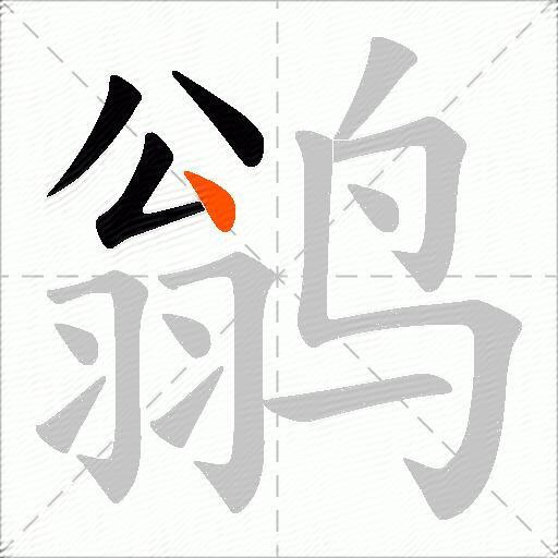 鹟