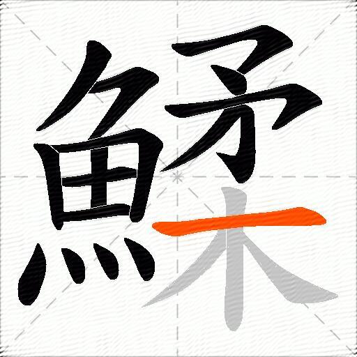 鰇