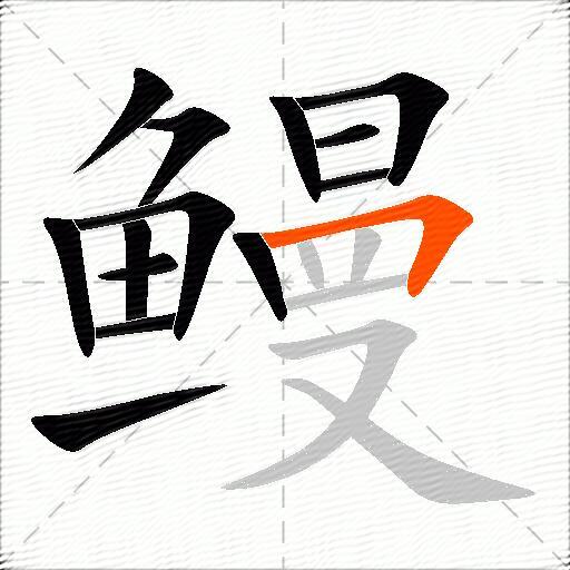 鳗