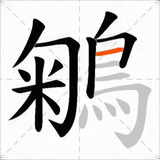 鵴