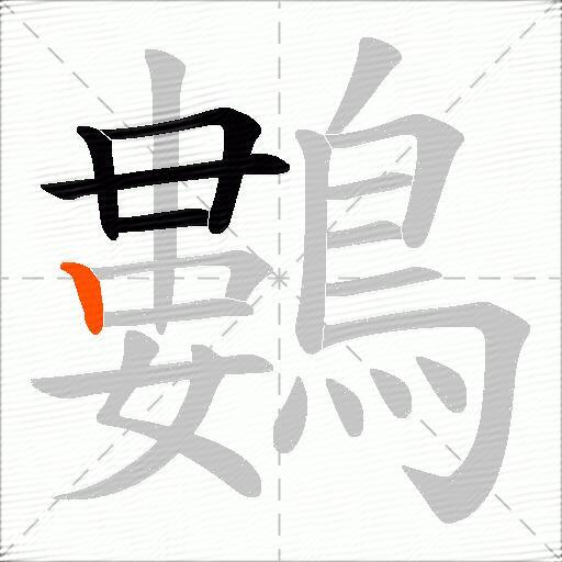 鷜