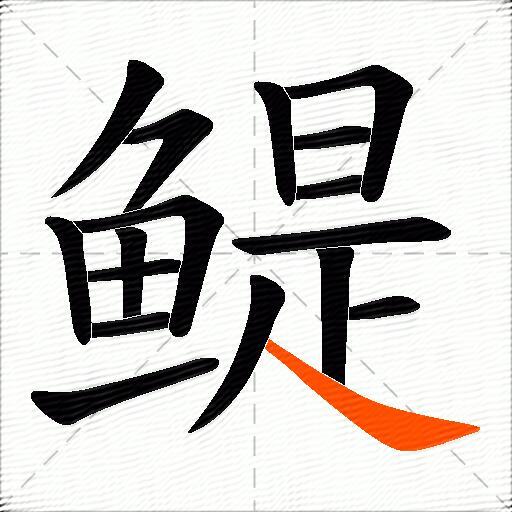 鳀