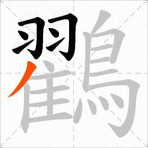 鸐