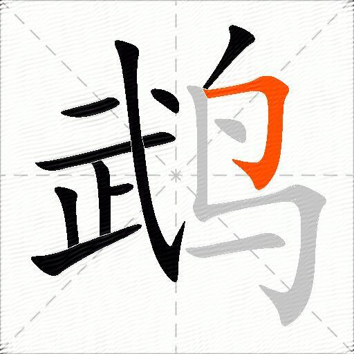 鹉
