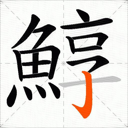 鯙