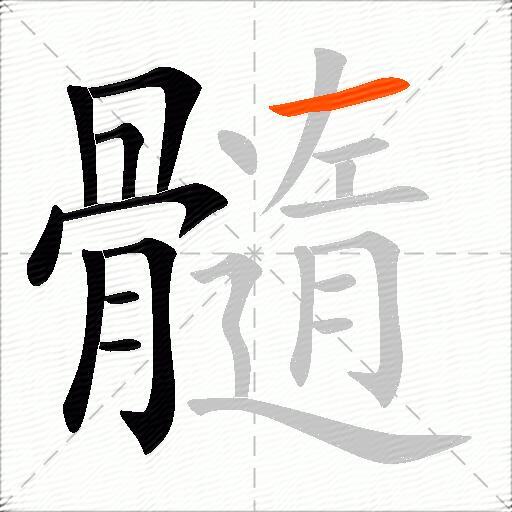 髓