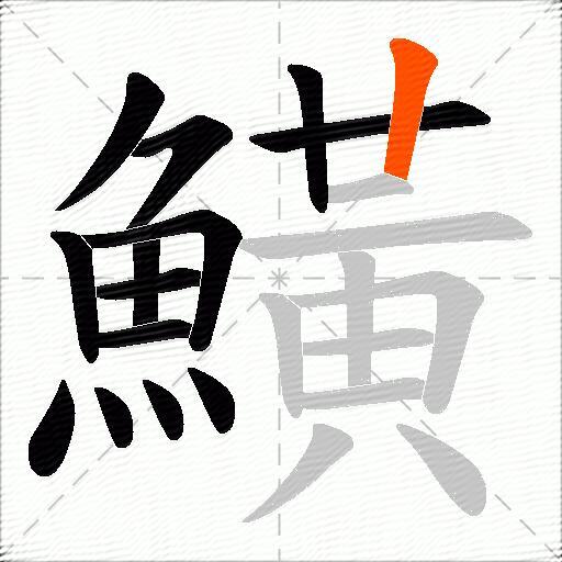 鱑