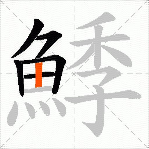 鯚
