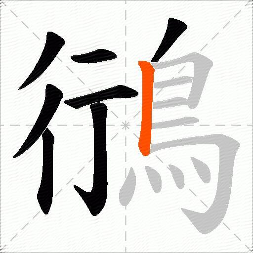 鴴