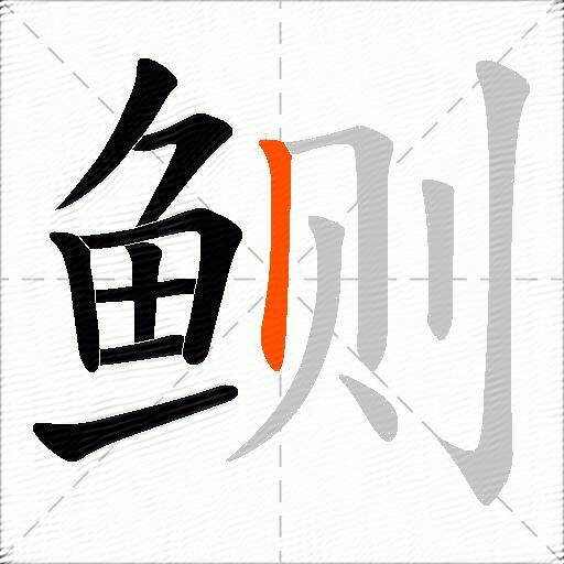 鲗