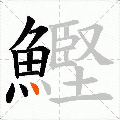 鰹