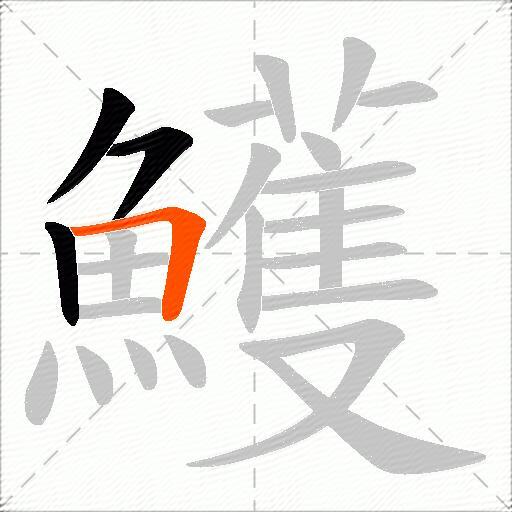 鱯