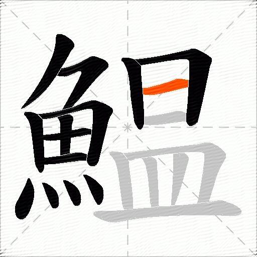 鰛