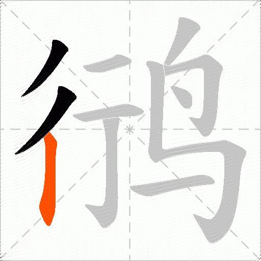鸻