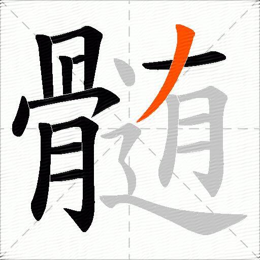 髄