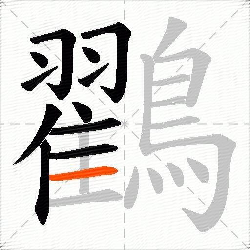 鸐