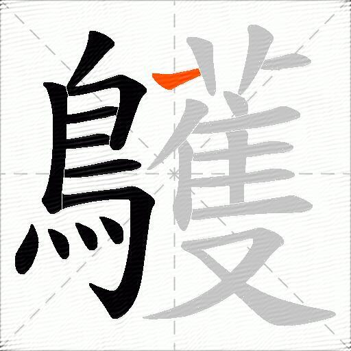 鸌