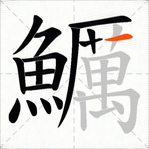 鱱