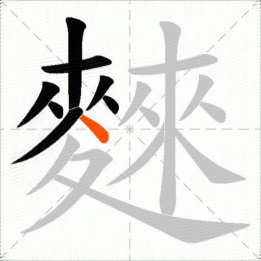 麳