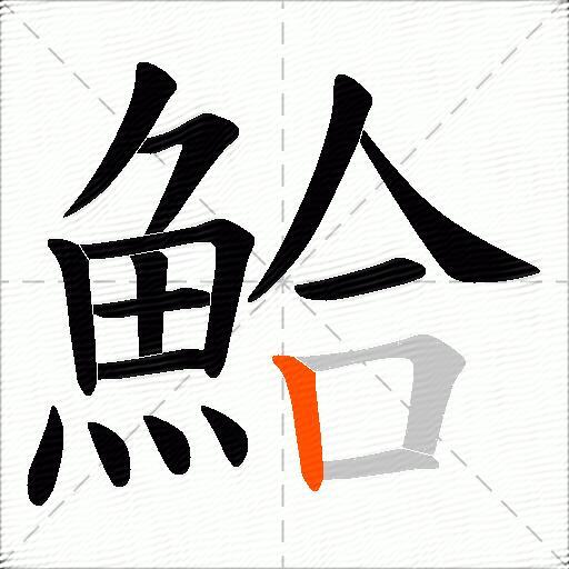 鮯