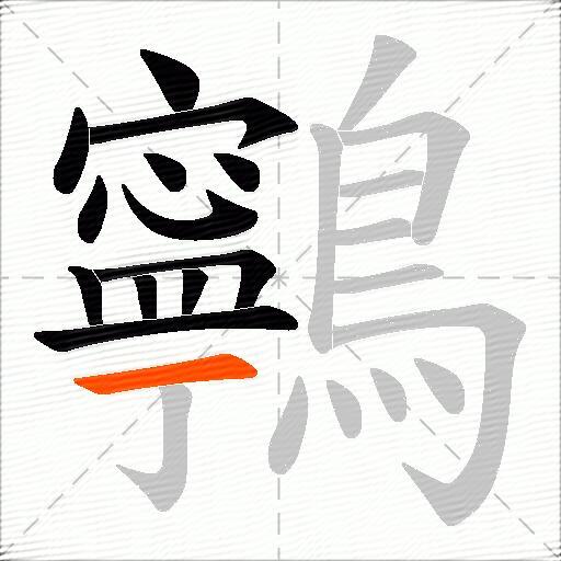 鸋
