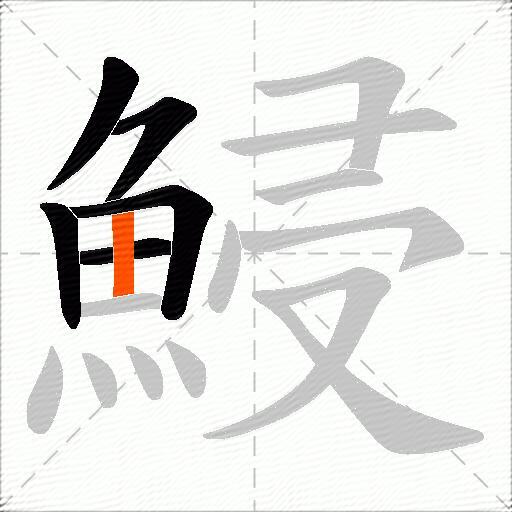 鮼