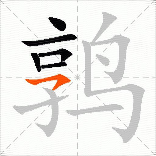 鹑