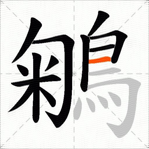 鵴