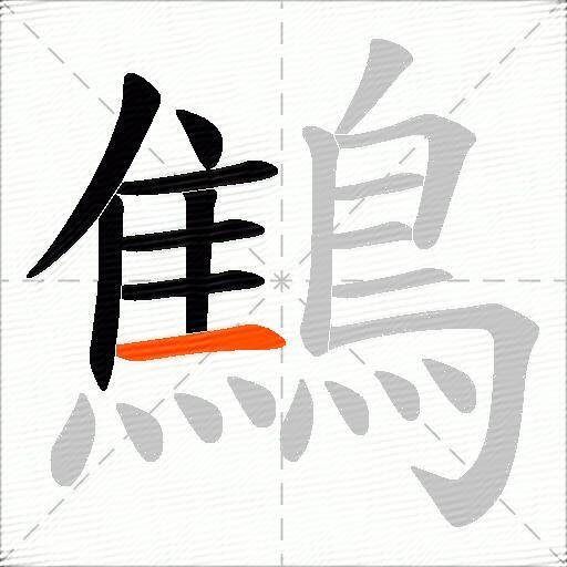 鷦