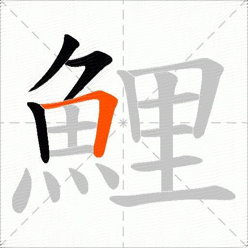 鯉