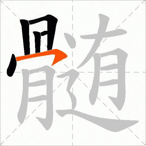 髄