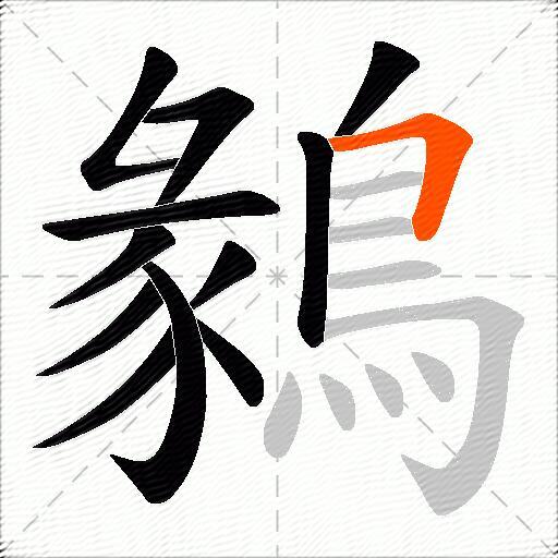 鶨
