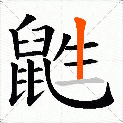 鼪