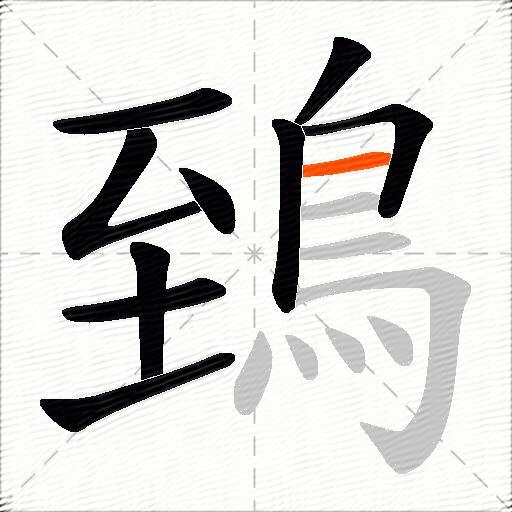 鵄