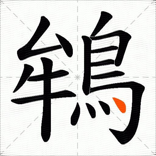 鴾