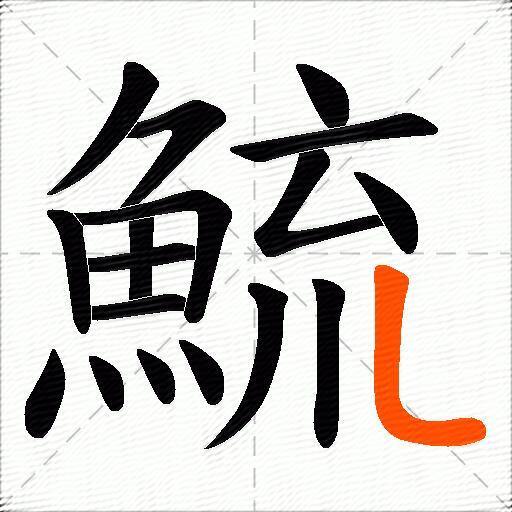 鯍