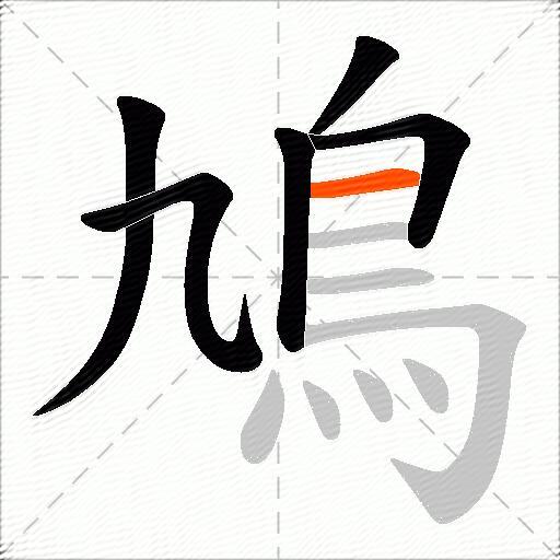 鳩