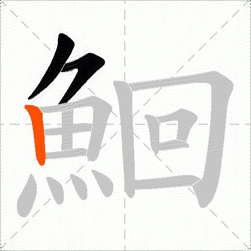 鮰