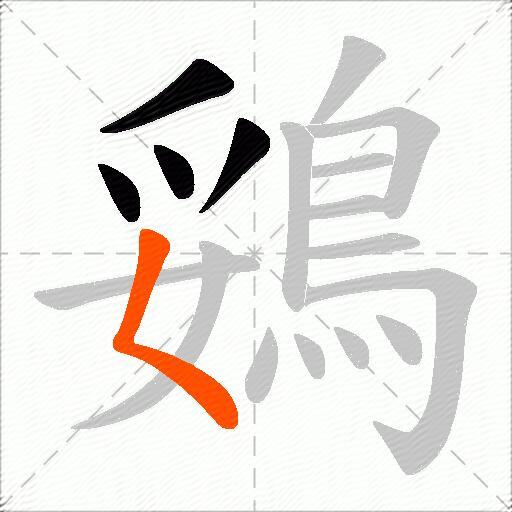 鵎