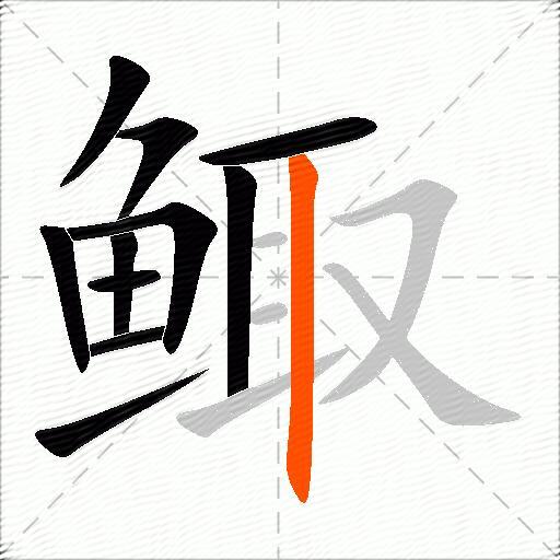 鲰