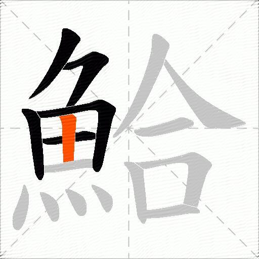 鮯