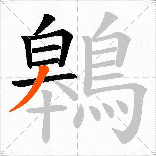 鷎