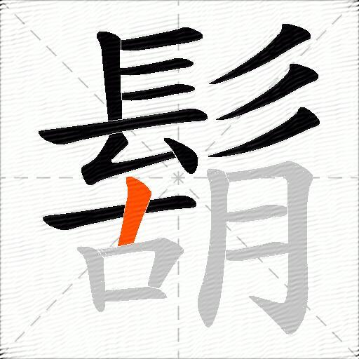 鬍