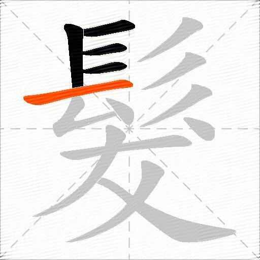 髮