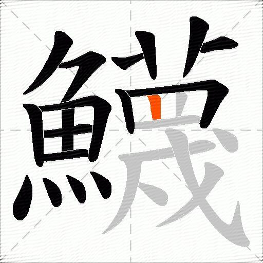 鱴