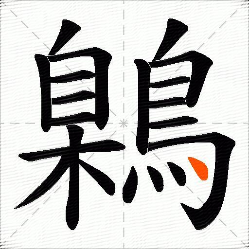 鷍