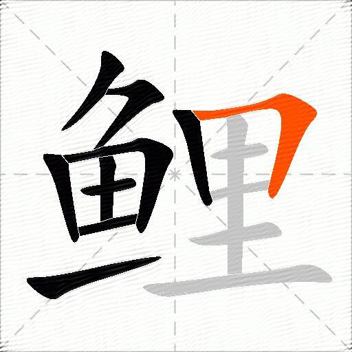 鲤