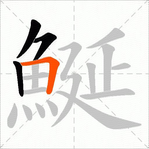 鯅