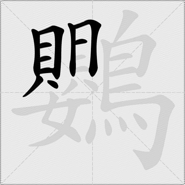 鸚