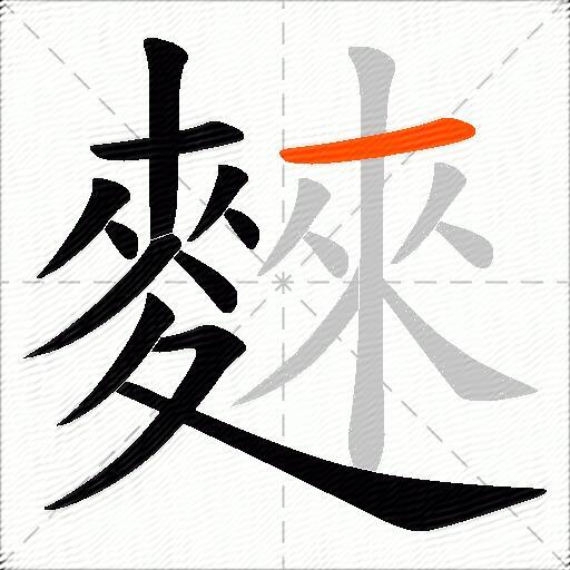 麳